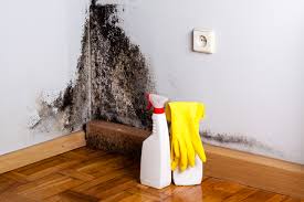 Mold Removal for HVAC Installations in Dunkirk, NY